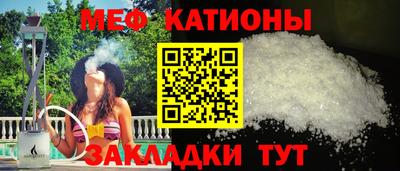 индика Можга