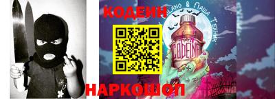 индика Можга