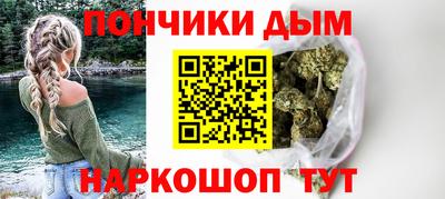 индика Можга