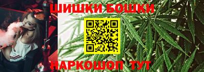 индика Моздок