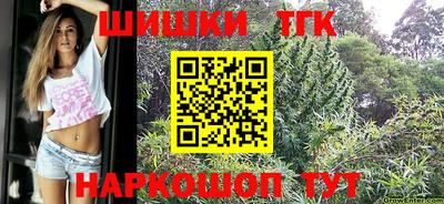 индика Моздок
