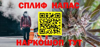 индика Можга