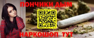 индика Можга
