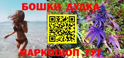 индика Можга