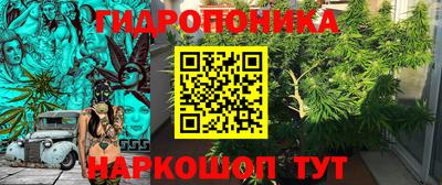 Альфа ПВП Можайск