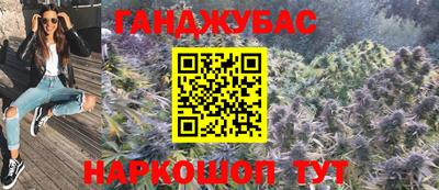 индика Можга
