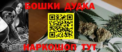 индика Моздок