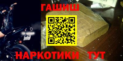 индика Можга