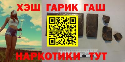 индика Можга