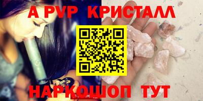 индика Можга
